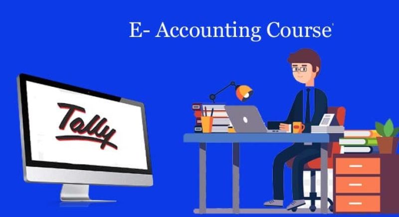 DIPLOMA IN E-ACCOUNTANT COURSE ( S-S-S-S-S-A1006 )